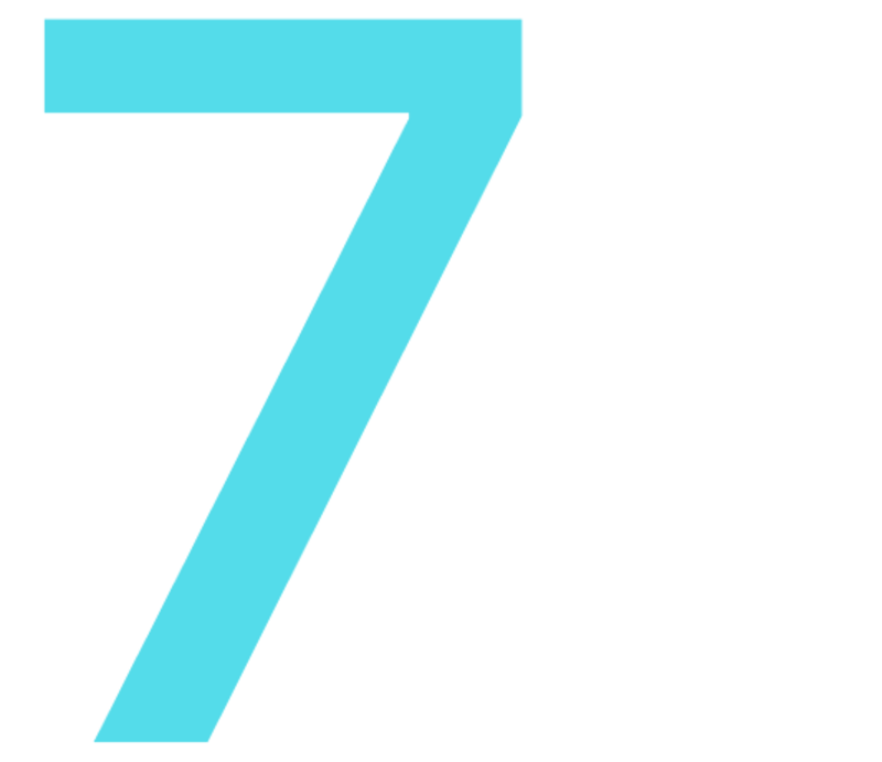 Punkt 7: Content Strategie. Die Zahl sieben und ein Vogel, der aus einer Hand frisst.